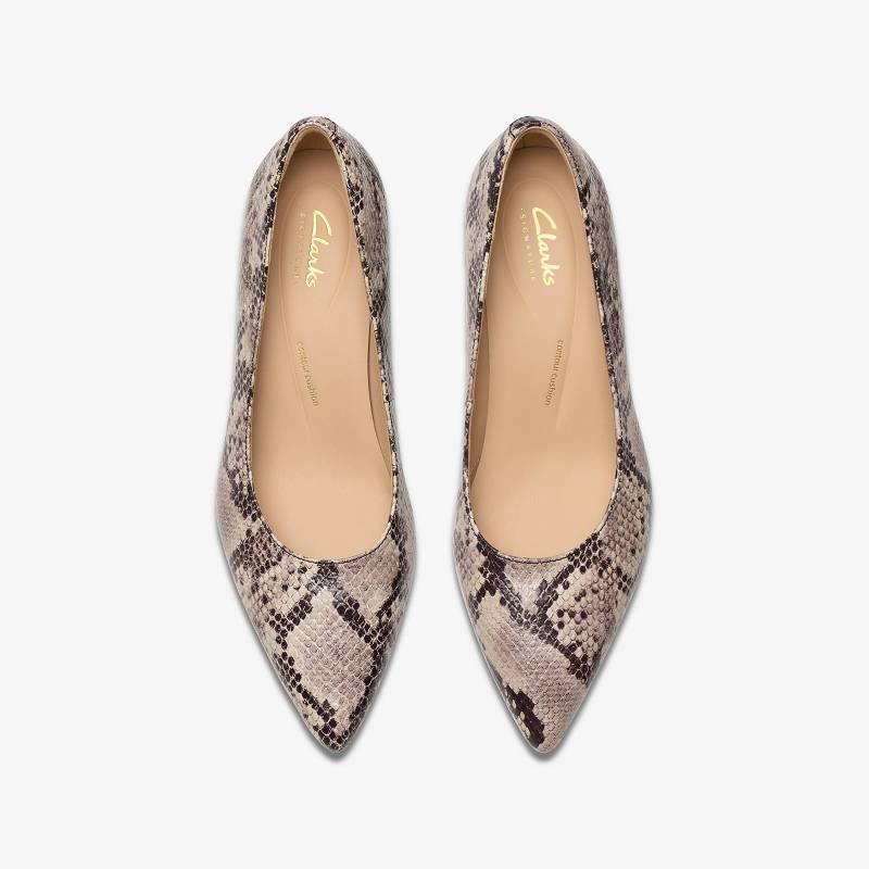 Clarks Adela Court Gri Yılan | CLKS-85018