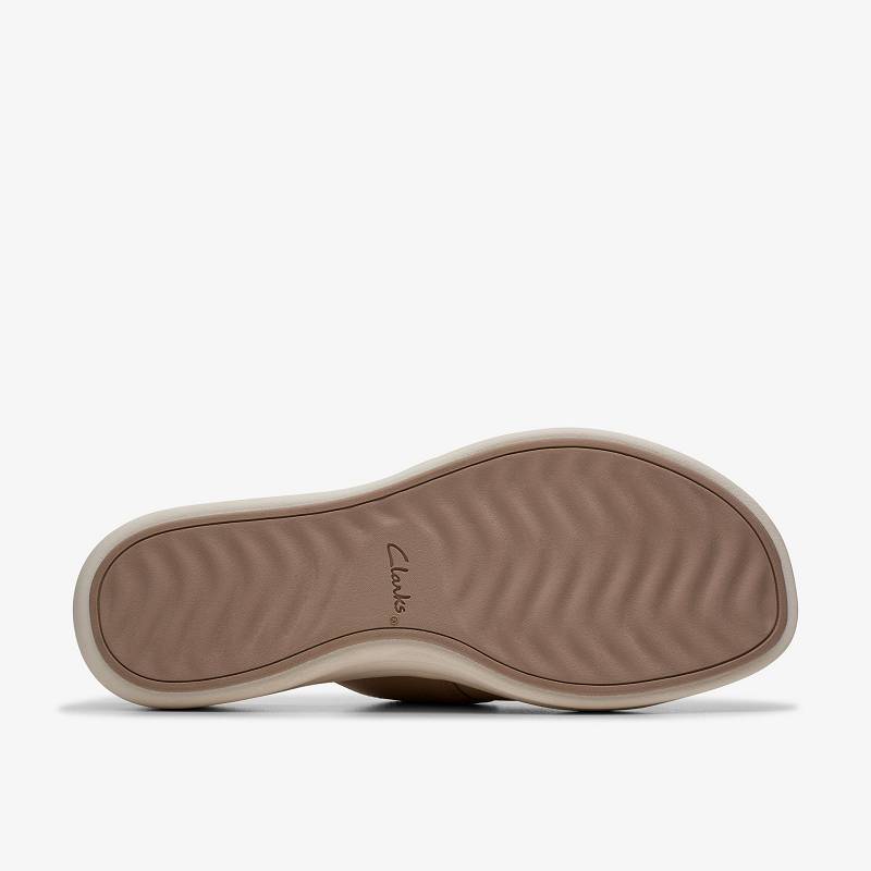 Clarks Drift Buckle Kahverengi | CLKS-84702