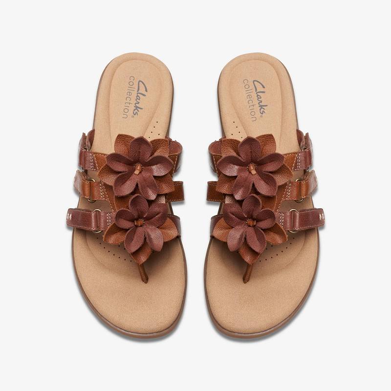 Clarks Elizabelle Mae Kahverengi | CLKS-84967