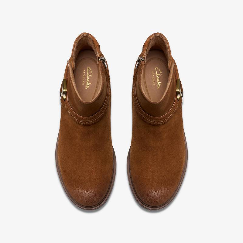 Clarks Neva Buckle Koyu Kahverengi | CLKS-85449