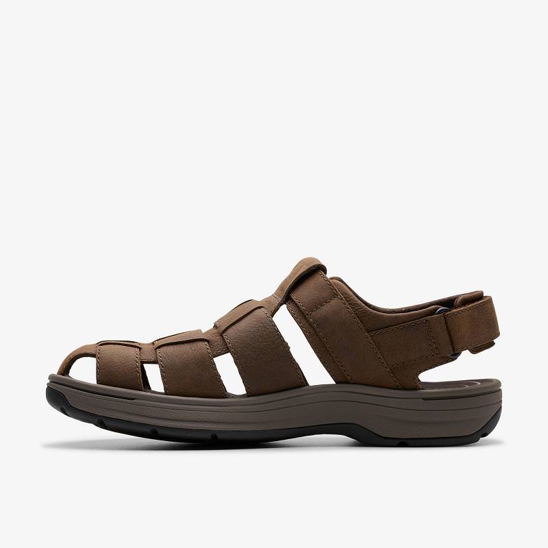 Clarks Saltway Cove Koyu Kahverengi | CLKS-84217