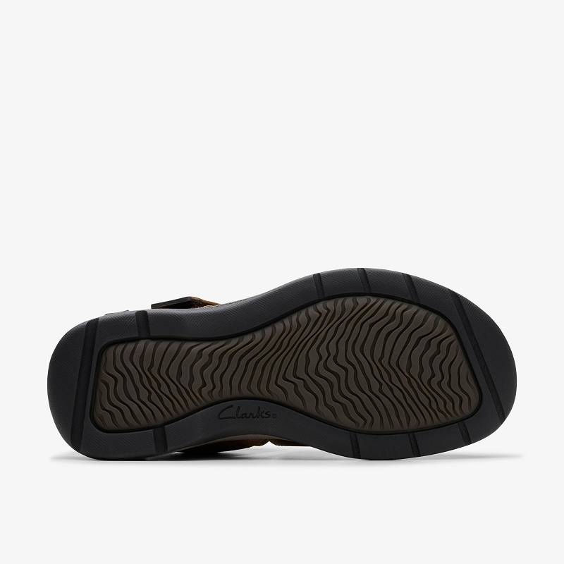 Clarks Saltway Cove Koyu Kahverengi | CLKS-84217
