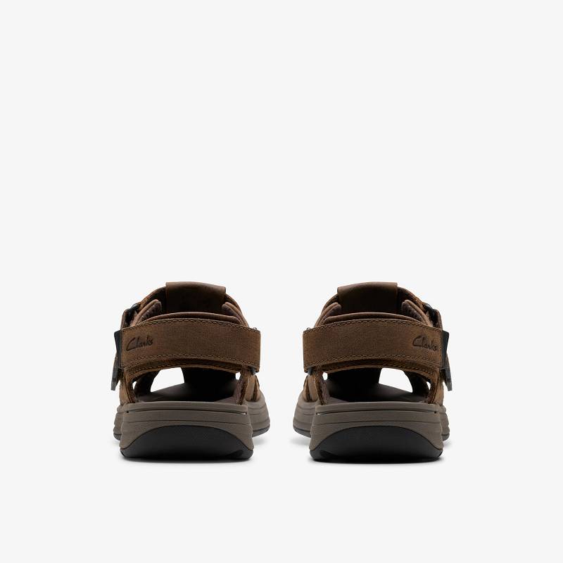 Clarks Saltway Cove Koyu Kahverengi | CLKS-84217