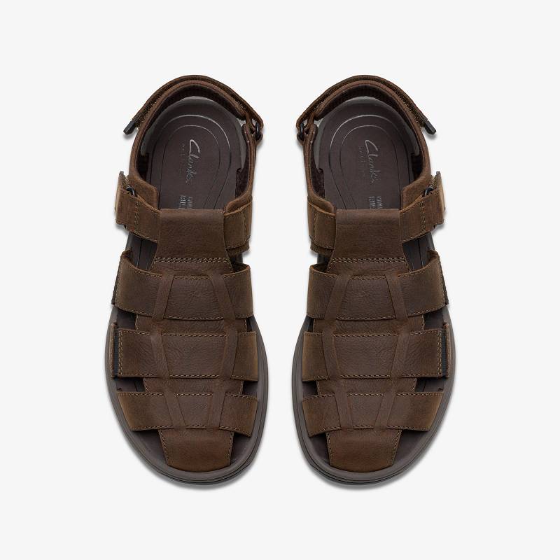 Clarks Saltway Cove Koyu Kahverengi | CLKS-84217