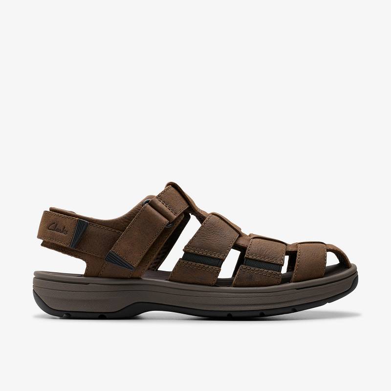 Clarks Saltway Cove Koyu Kahverengi | CLKS-84217