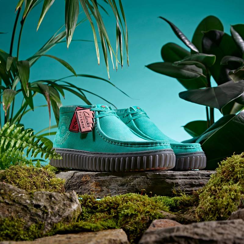 Clarks Torhill Explore X Pokémon Turkuaz | CLKS-85529
