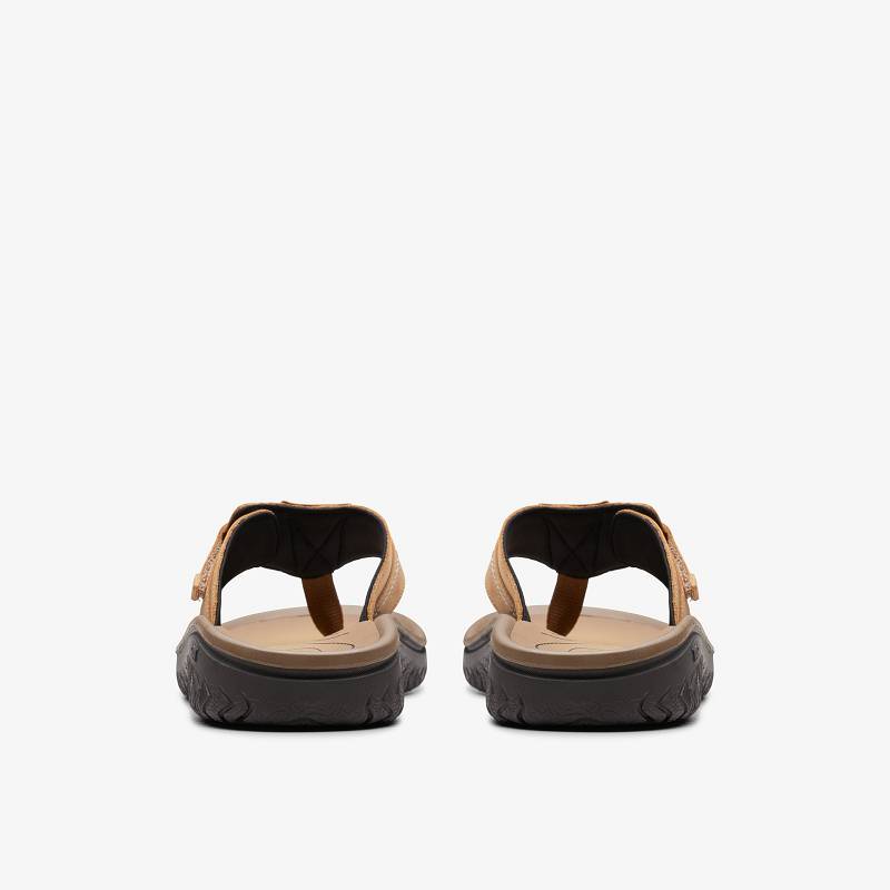Clarks WESLEY SUN Kahverengi | CLKS-84215