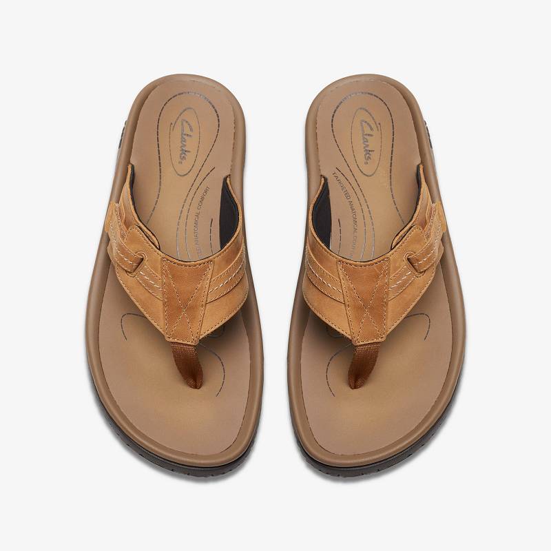 Clarks WESLEY SUN Kahverengi | CLKS-84215